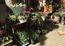 Bild zu Lisbeth - Florale Werkstatt