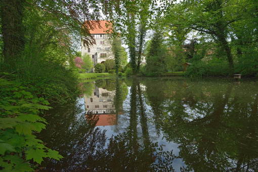 Verein der Freunde der Vogelschutzwarte Seebach e.V.