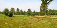 Nutzerfoto 4 Stiftung niedersächsische Gedenkstätten Gedenkstätte Bergen-Belsen