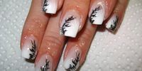 Nutzerfoto 4 Beauty Nails Dorota Schuster