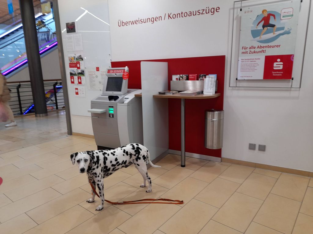 Nutzerfoto 1 Sparkasse Holstein