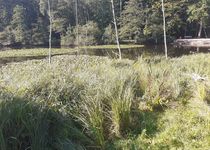 Bild zu Naturschutzgebiet Raakmoor
