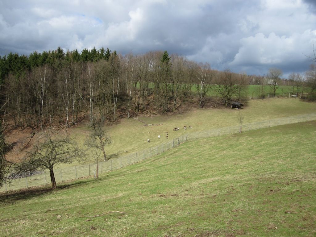 Nutzerfoto 3 Naturnahes Familienferienhaus Arche Noah Marienberge