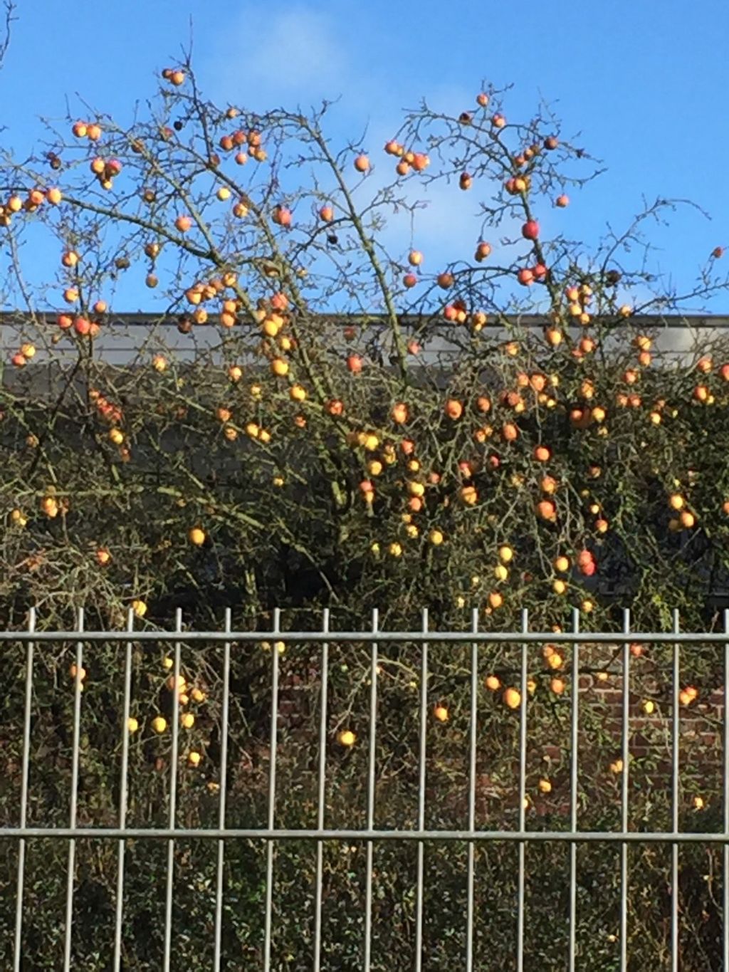 Nutzerfoto 220 Aldi Nord