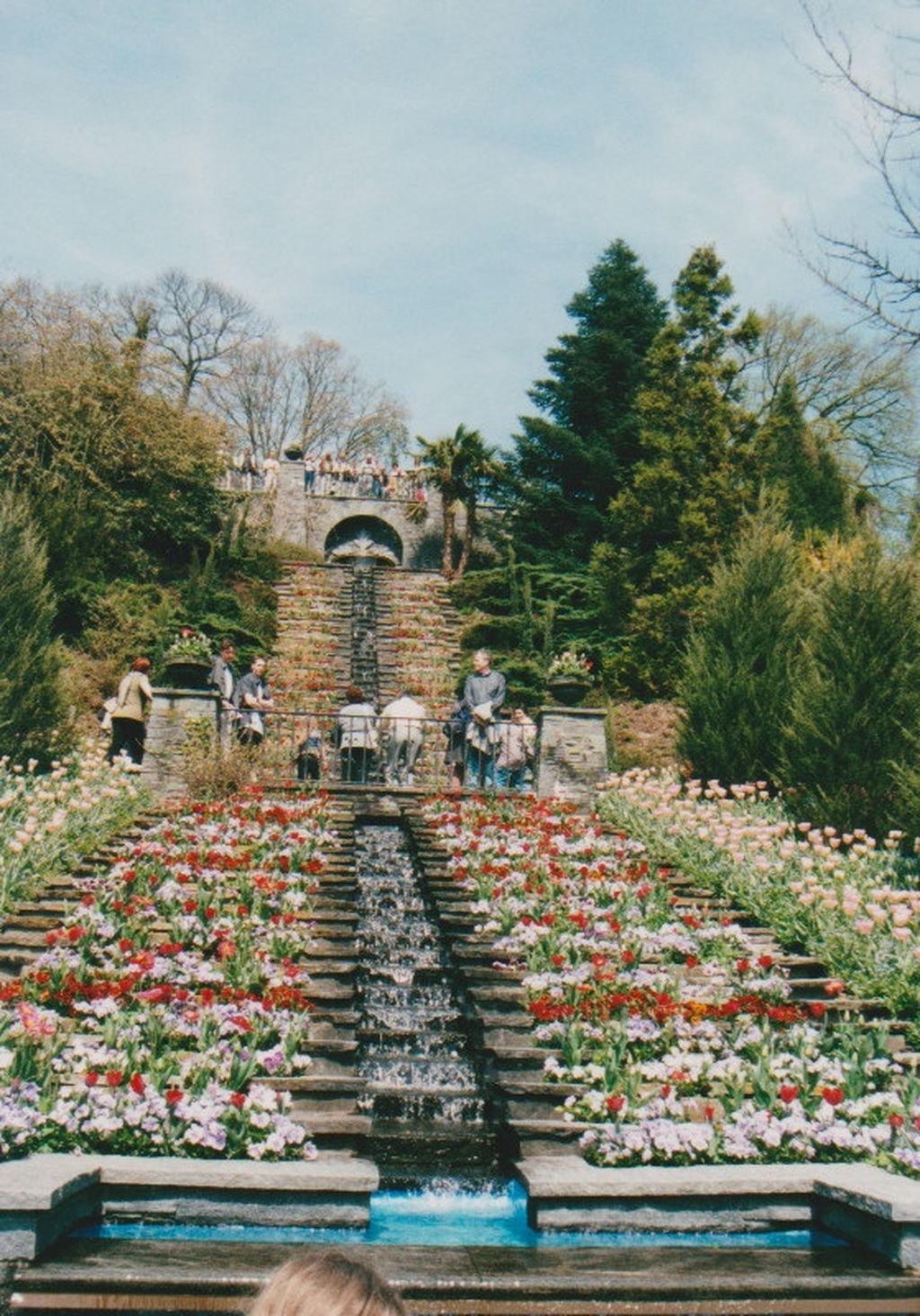 Nutzerfoto 55 Blumeninsel Mainau GmbH , Lennart-Bernadotte-Stiftung