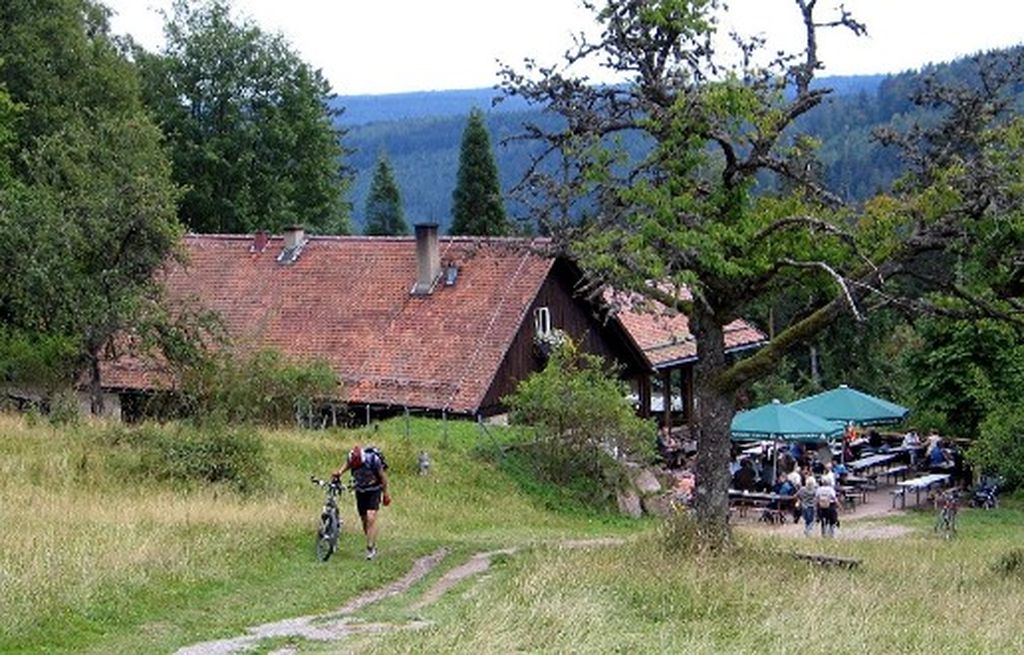 Nutzerfoto 3 Grünhütte