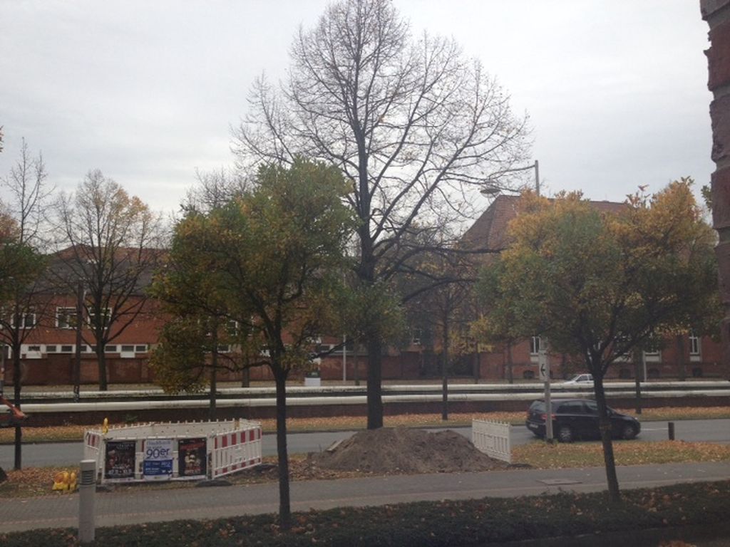 Nutzerfoto 1 Tierärztliche Hochschule