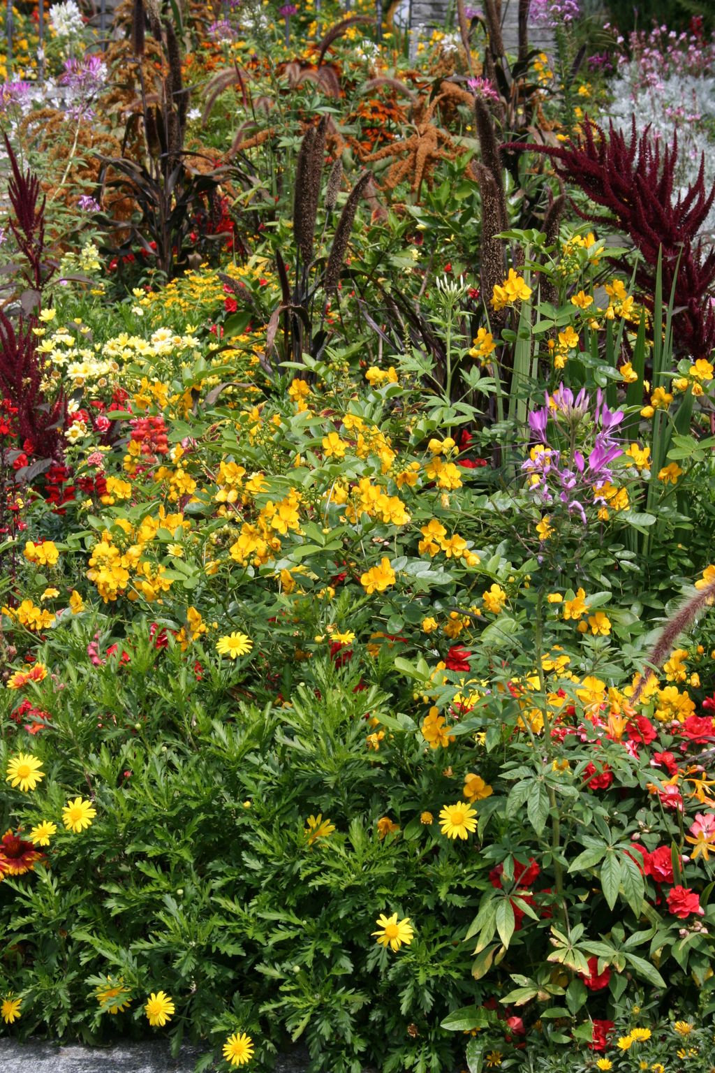 Nutzerfoto 146 Blumeninsel Mainau GmbH , Lennart-Bernadotte-Stiftung