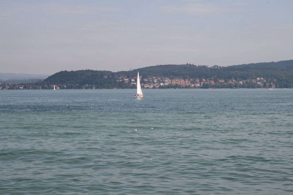 Nutzerfoto 141 Blumeninsel Mainau GmbH , Lennart-Bernadotte-Stiftung