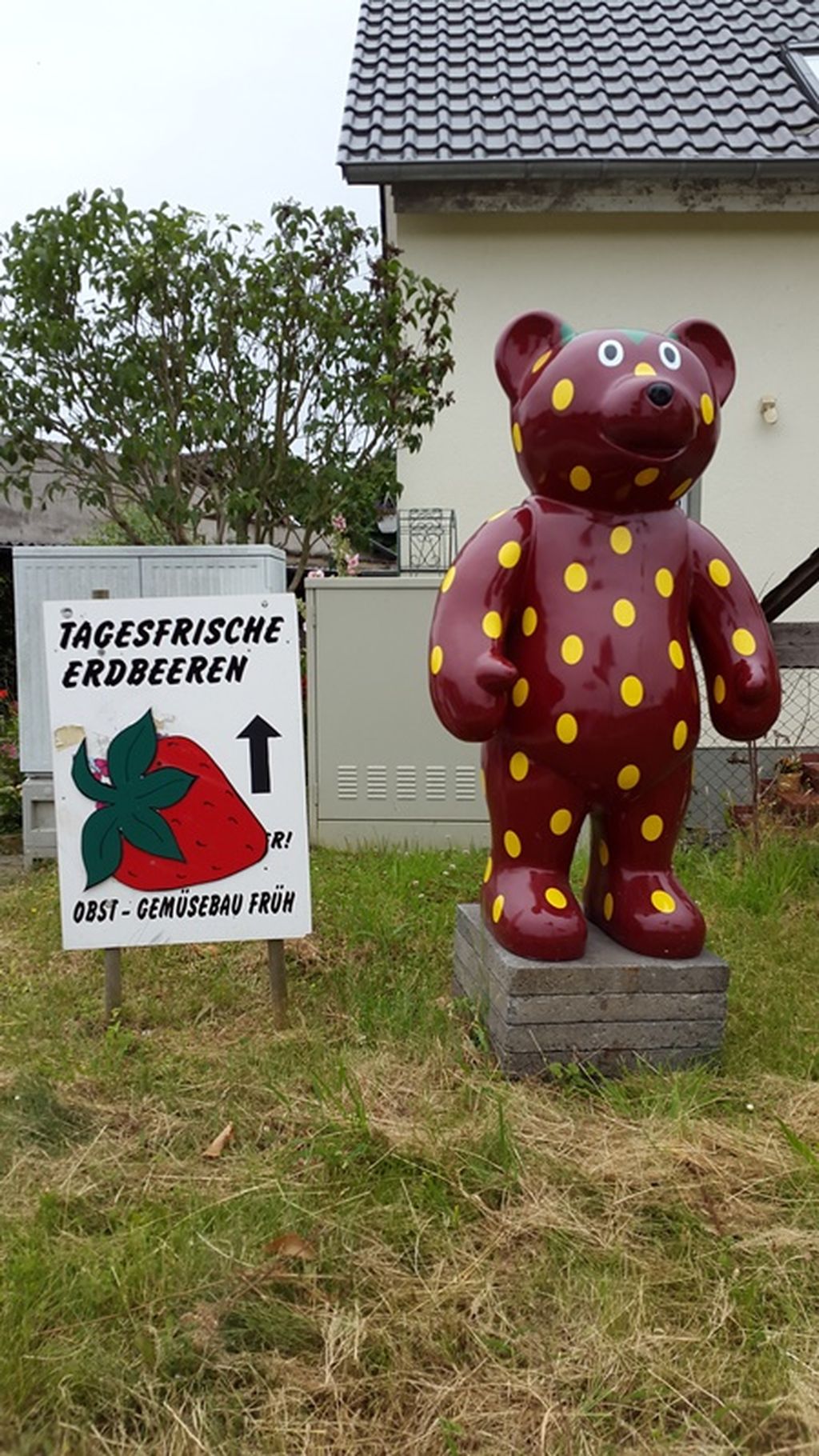 Nutzerfoto 2 Früh Obst- und Gemüsebaubetrieb Hofladen