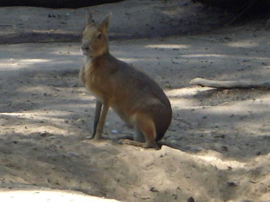 Nutzerfoto 184 ZOO Duisburg AG