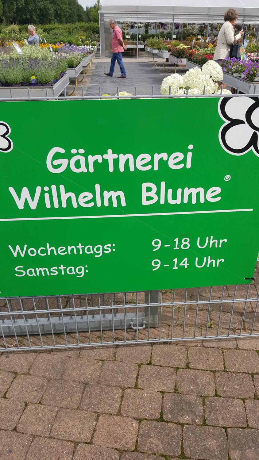 Bilder und Fotos zu Gärtnerei Wilhelm Blume in Holzminden, Heusingerstrasse