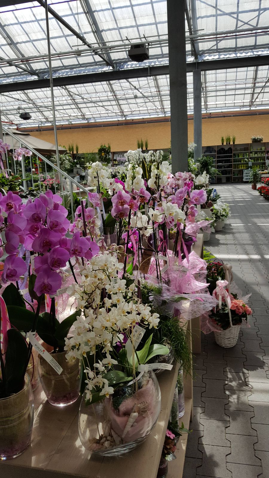Gartencenter Schley's Blumenparadies in Bochum ⇒ in Das Örtliche
