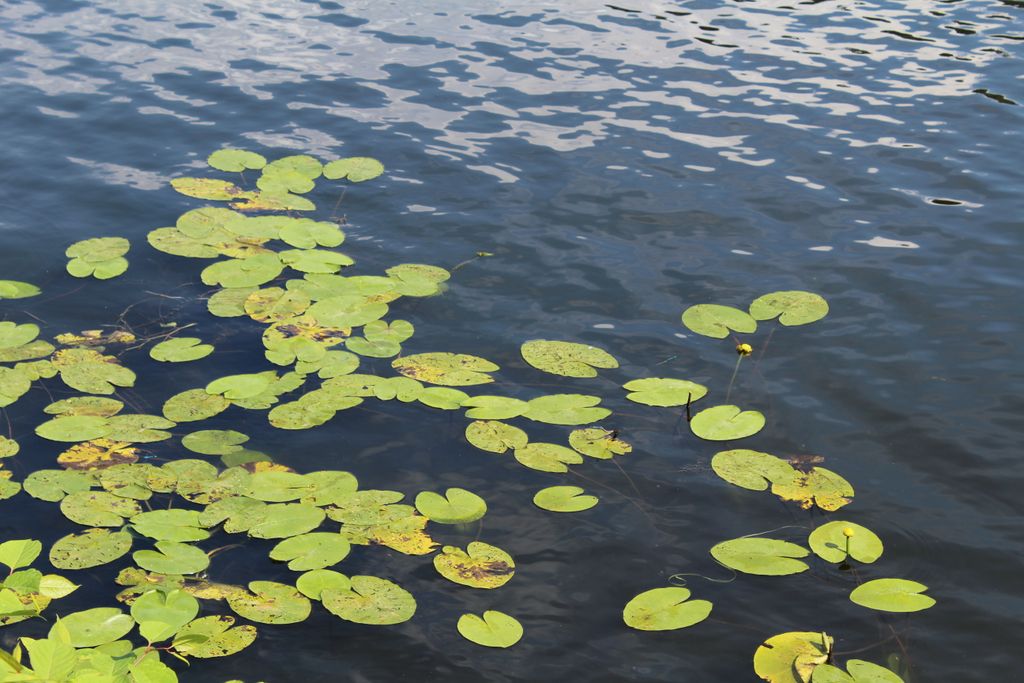 Nutzerfoto 7 ETUF-FSK Freizeit-, Sport- und Kulturveranstaltungs GmbH