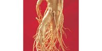 Nutzerfoto 8 KGV Korea-Ginseng Vertriebsgesellschaft mbH