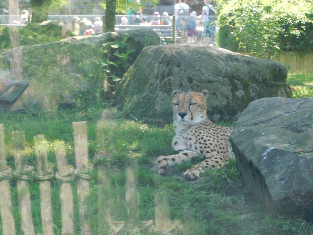 Nutzerfoto 46 Zoologischer Garten Köln AG