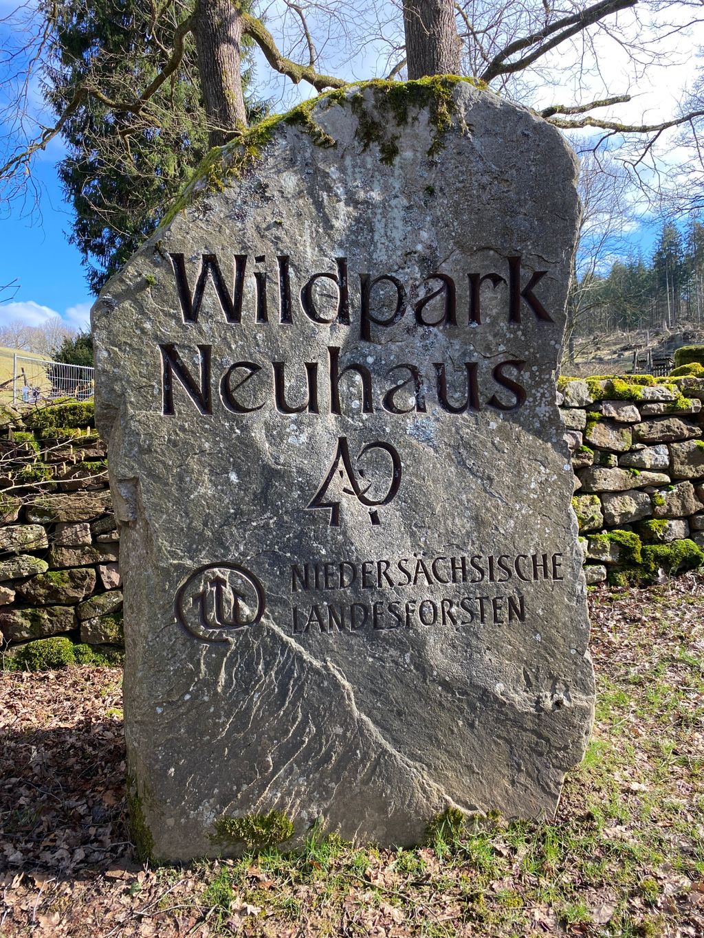 Nutzerfoto 28 Niedersächsische Landesforsten Wildpark Neuhaus