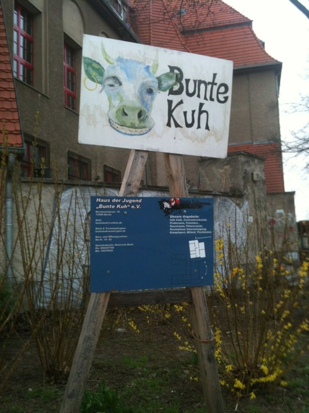 Nutzerfoto 2 Haus der Jugend "Bunte Kuh e.V."