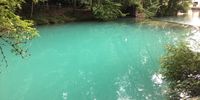 Nutzerfoto 1 Blautopfhaus Schönhofer