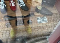 Gute Schuhe in Berlin Prenzlauer Berg | golocal