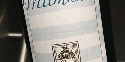 Weingut Wittmann in Westhofen in Rheinhessen