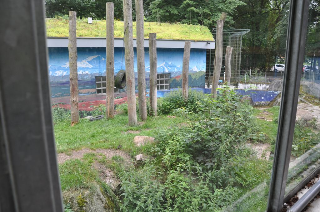 Nutzerfoto 14 Tierparkvereinigung Neumünster e.V.