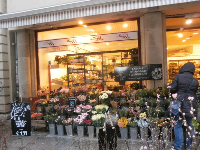 Gute Blumen in Halle an der Saale | golocal