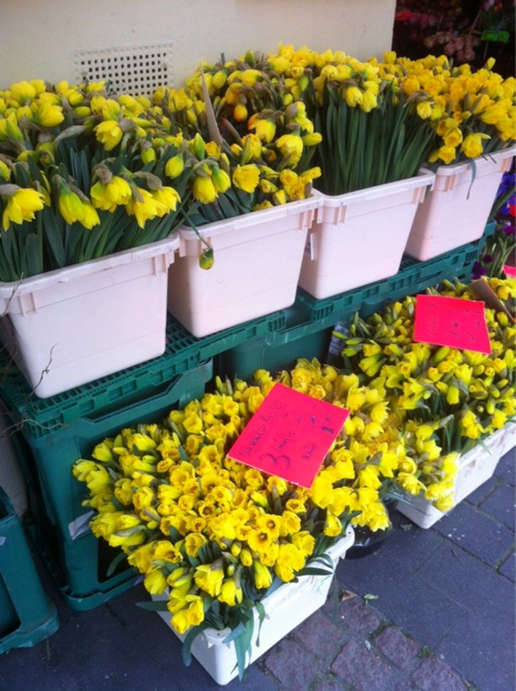 Nutzerfoto 1 Walbroel Früchtehandel