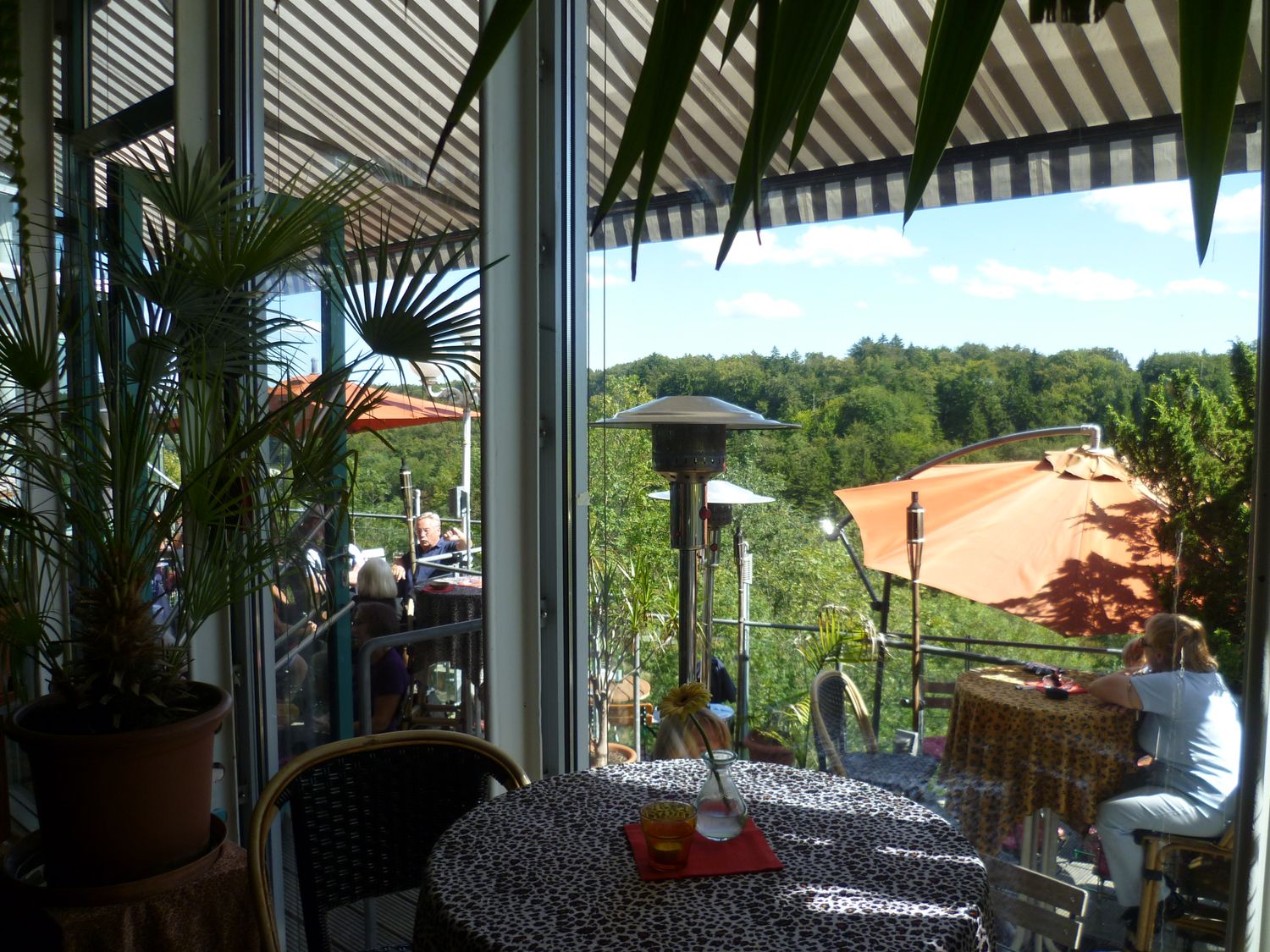 Bilder und Fotos zu Treibhaus Bistro Café in Pullach im Isartal,  Heilmannstr.
