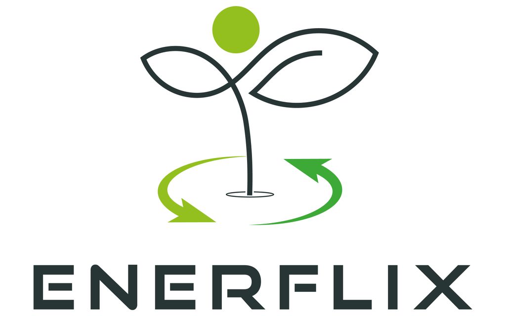 Nutzerfoto 1 Enerflix Energie- und Unternehmensberatung