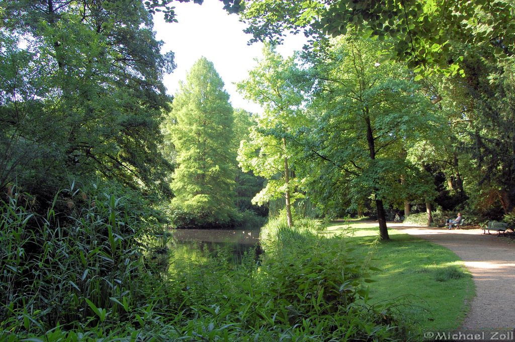 Nutzerfoto 36 Teehaus im Englischen Garten Internationale Küche