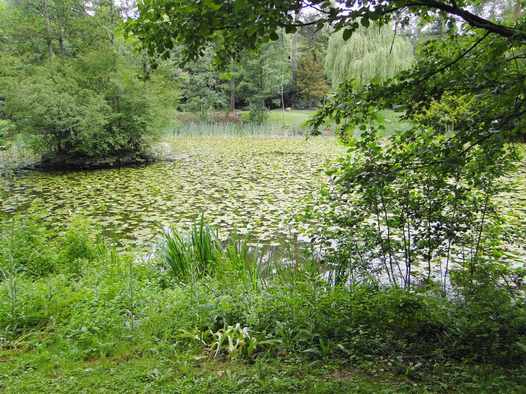 Nutzerfoto 26 Stadtfriedhof Göttingen