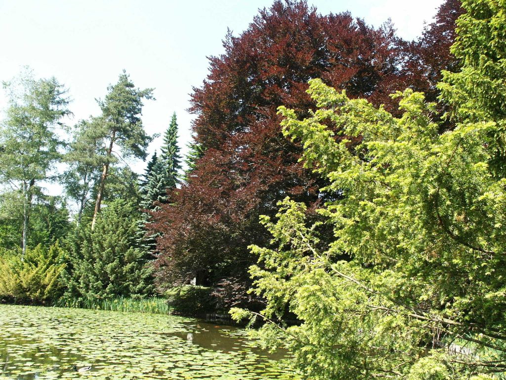 Nutzerfoto 88 Stadtfriedhof Göttingen