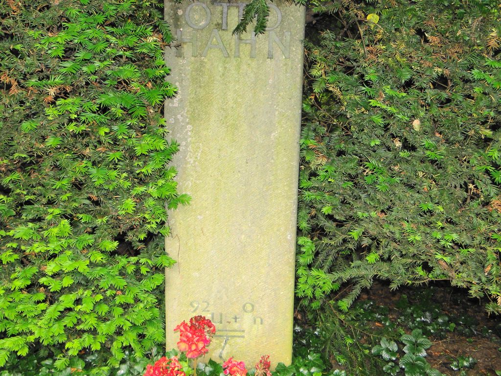 Nutzerfoto 33 Stadtfriedhof Göttingen