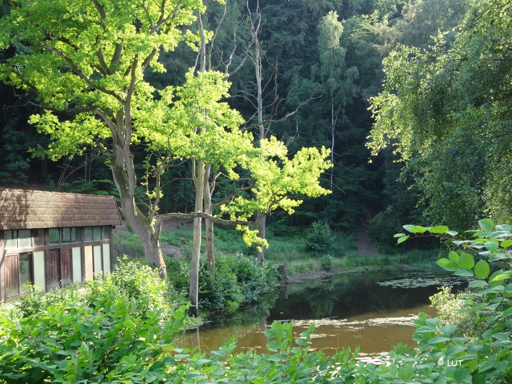 Nutzerfoto 2 Freizeitzentrum "Zum Moorteich" Betriebsgesellschaft mbH Schank- und Speisewirtschaft