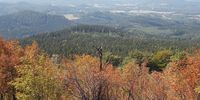 Nutzerfoto 5 Hochwald-Turmbaude Turmstübl Inh. Romy Bauerfeind