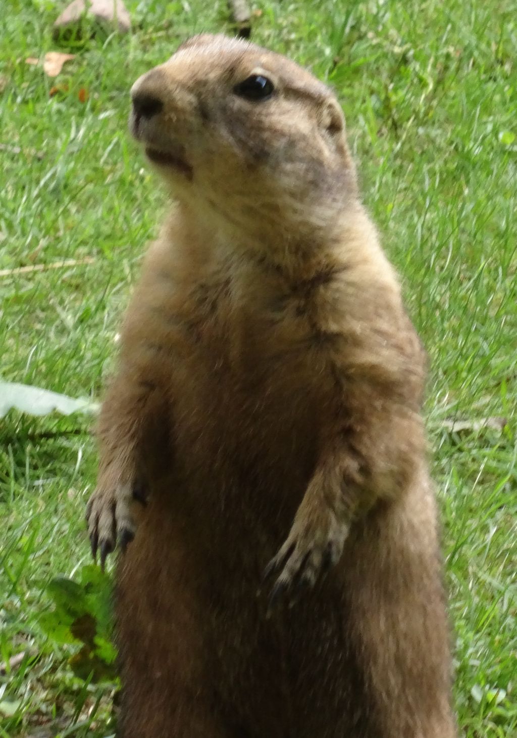 Nutzerfoto 82 Zoologischer Garten Schwerin gGmbH