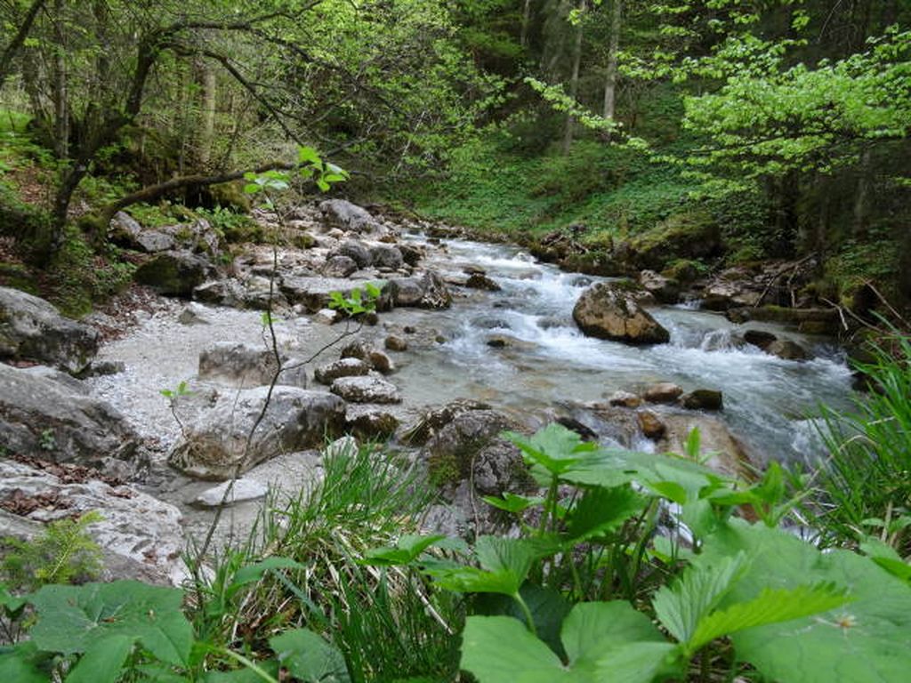 Nutzerfoto 4 Höllentalklamm