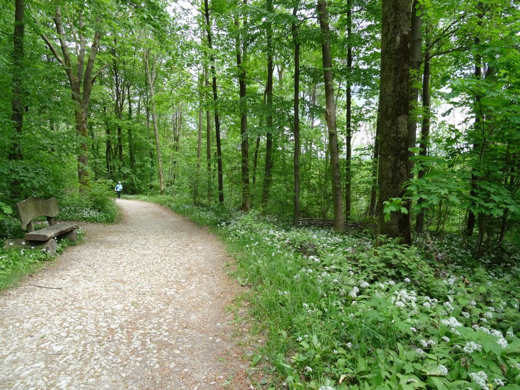 Nutzerfoto 4 Teutoburger Wald Tourismus