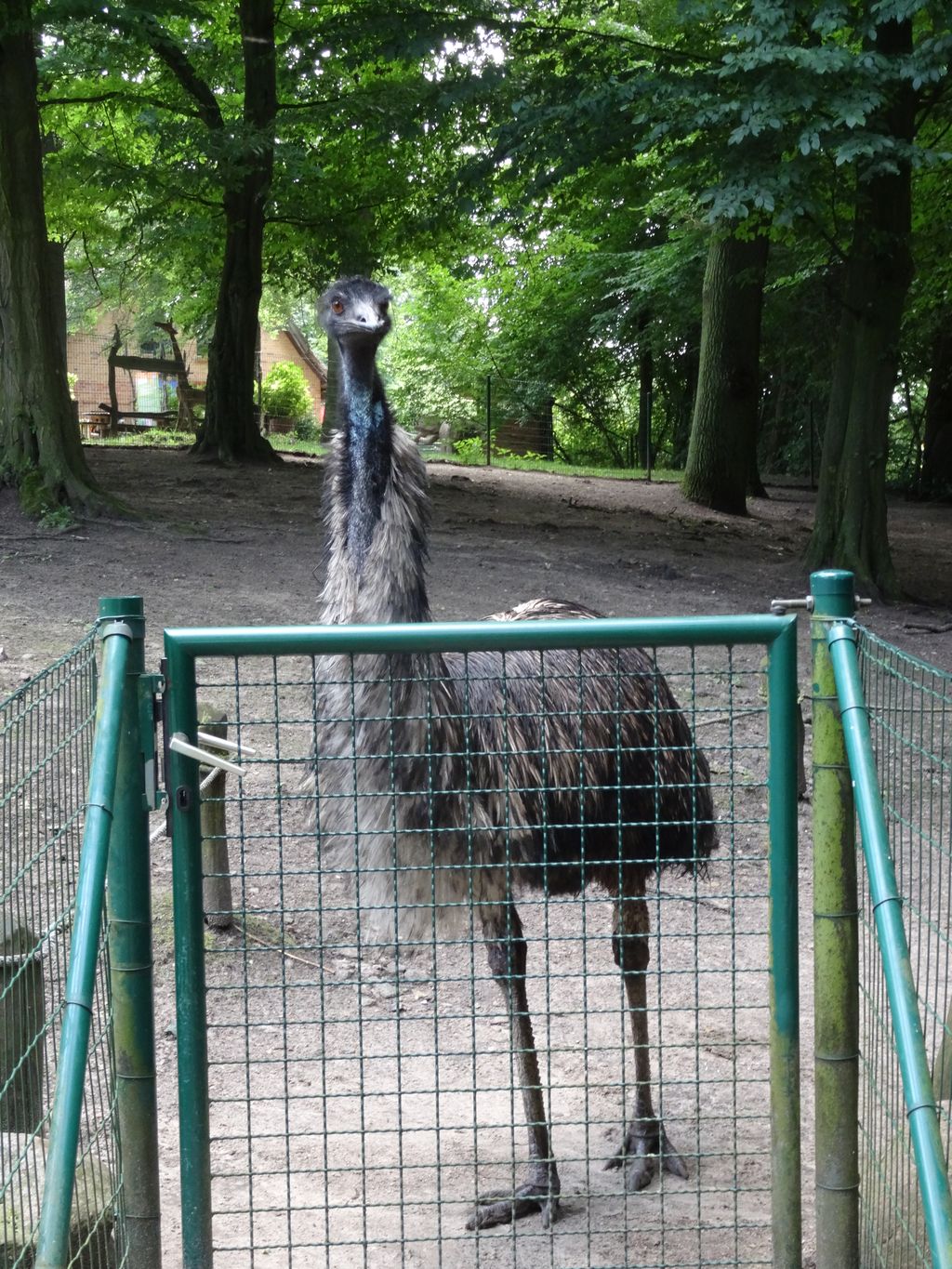 Nutzerfoto 88 Zoologischer Garten Schwerin gGmbH