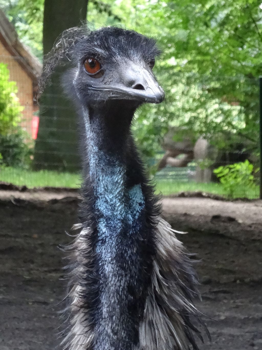 Nutzerfoto 89 Zoologischer Garten Schwerin gGmbH