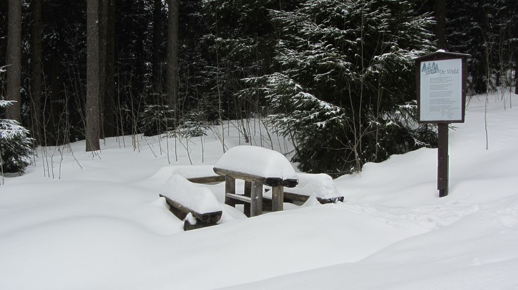 Nutzerfoto 1 Berggasthof Auersberg