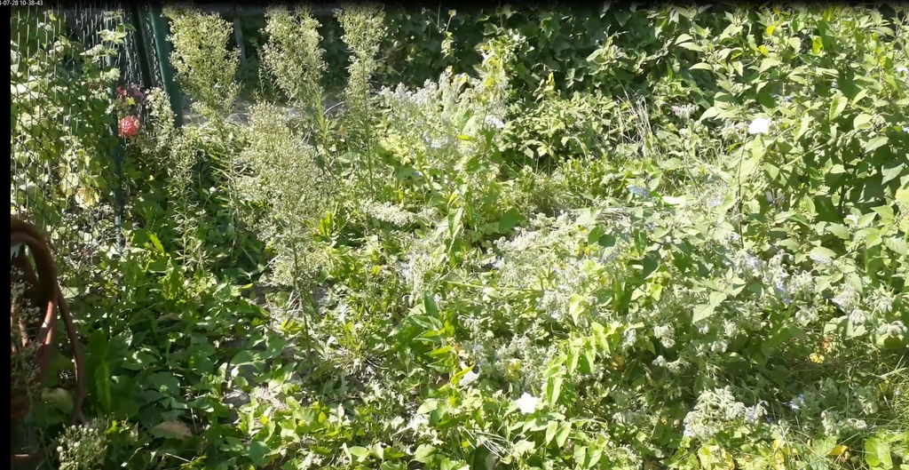 Nutzerfoto 21 Dienstleistungen von A bis Z Haus- und Gartenservice