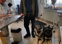 Sonstige Tiermedizin Bewertungen in Deutschland | golocal