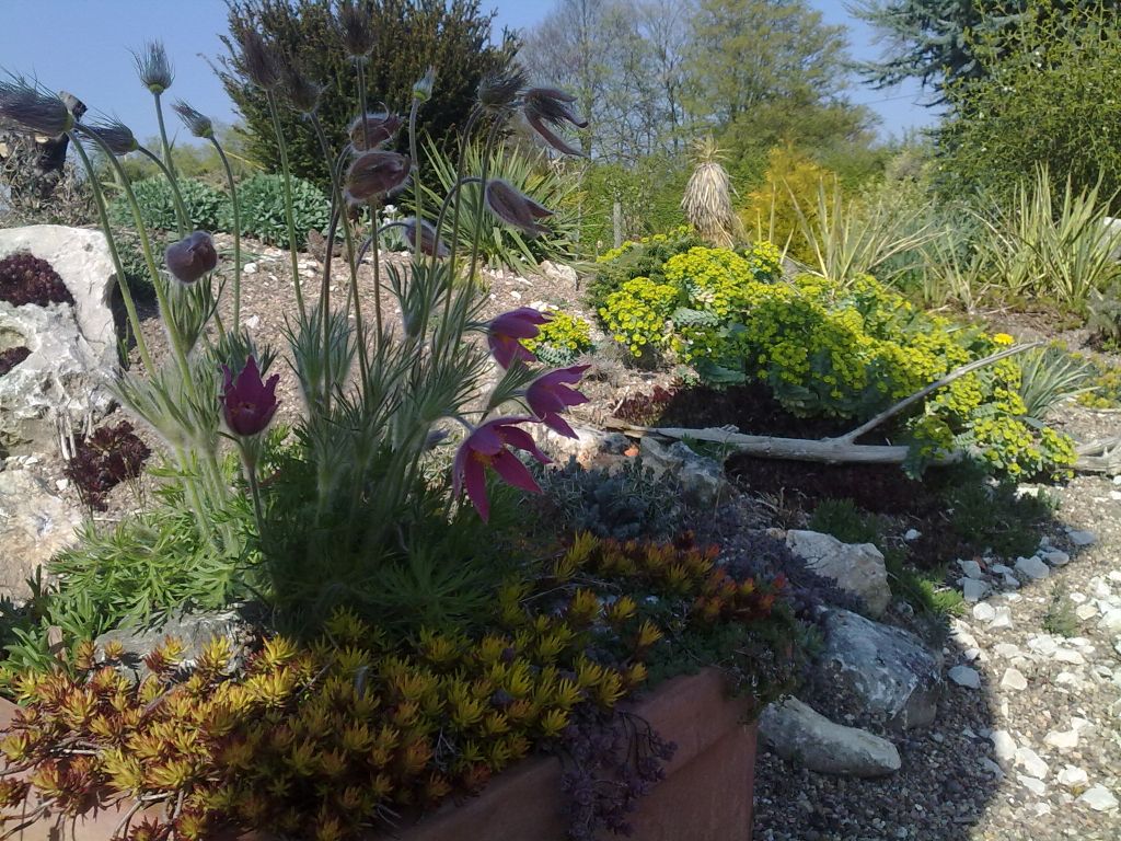 Nutzerfoto 2 Oettinger Blumen Schnittblumengroßhandel Inh. Christoph Graf e. K.