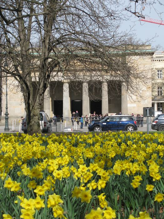 Die Neue Wache mit Osterglocken, März 2017!!! :)