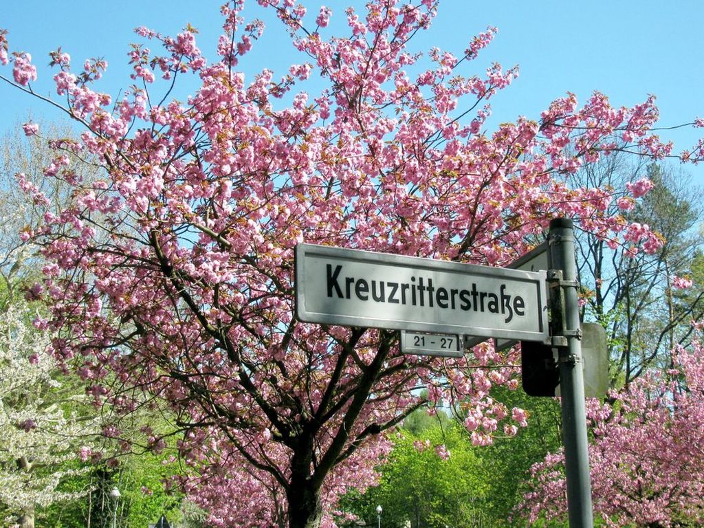 Nutzerfoto 13 Straßen- und Grünflächenamt Reinickendorf