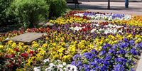 Nutzerfoto 5 Straßen- und Grünflächenamt Reinickendorf