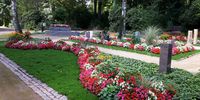 Nutzerfoto 3 Monzel Markus Dipl.-Ing. Blumen und Gärtnerei