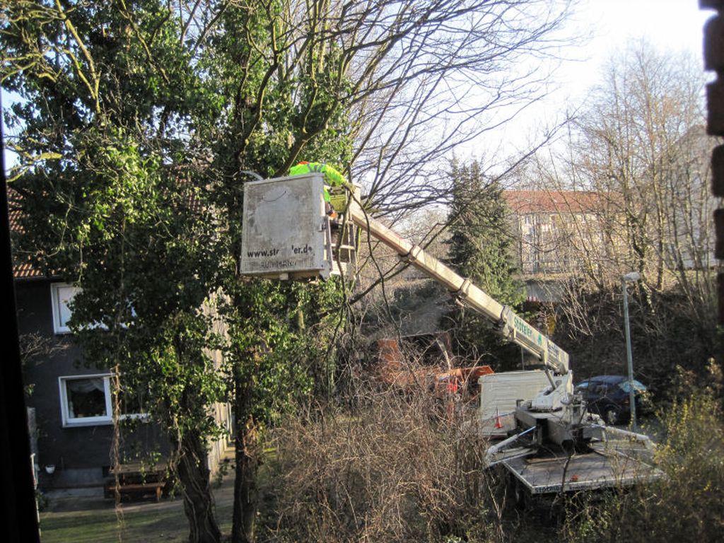 Nutzerfoto 3 Stöteler Baumdienst GmbH Baumdienst